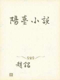 阳台小说封面