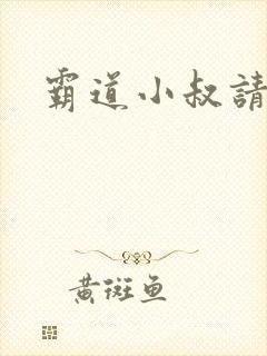 霸道小叔请轻撩封面