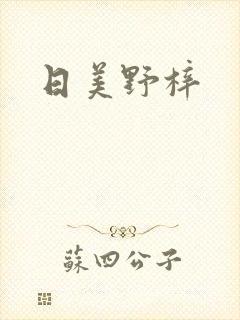 日美野梓封面