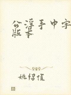 公浮手中字最新版本封面