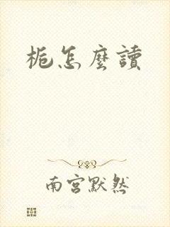 栀怎么读封面