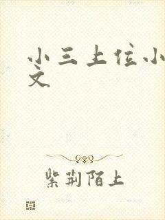 小三上位小说全文