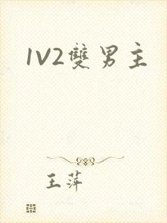 1V2双男主封面