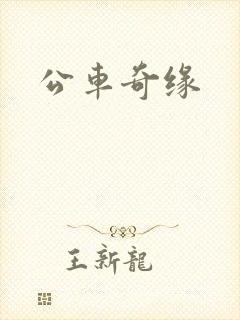 公车奇缘封面