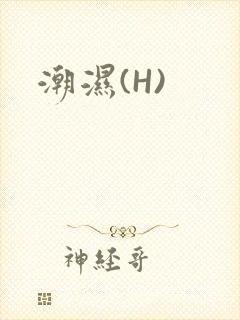 潮湿(H)封面