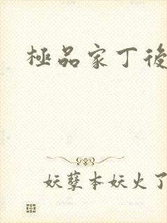 极品家丁后传