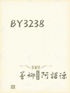 BY3238封面