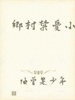乡村禁爱小说封面