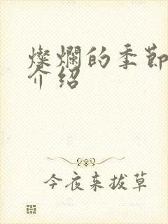 灿烂的季节剧情介绍