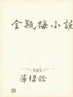 金瓶梅小说下载封面