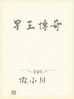 星王传奇