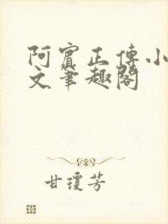 阿宾正传小说全文笔趣阁
