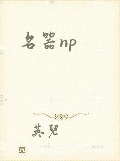 名器np