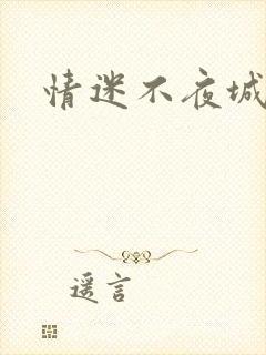 情迷不夜城