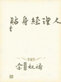 贴身经理人txt