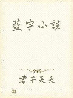 蓝宇小说