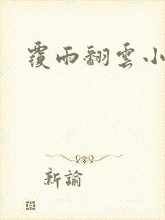 覆雨翻云小说
