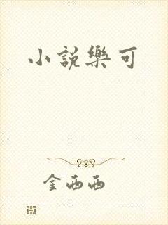 小说乐可封面