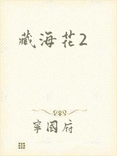 藏海花2