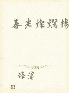 春光灿烂杨家将