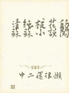 清纯校花的日常苏苏小说阅读全文