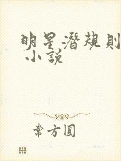 明星潜规则之皇 小说