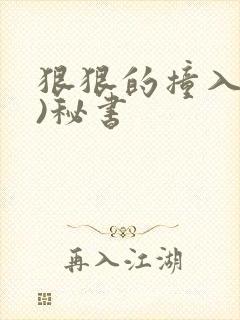 狠狠的撞入(h)秘书