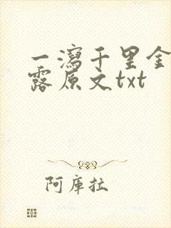 一泻千里金银花露原文txt
