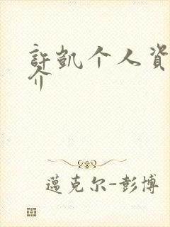 许凯个人资料简介