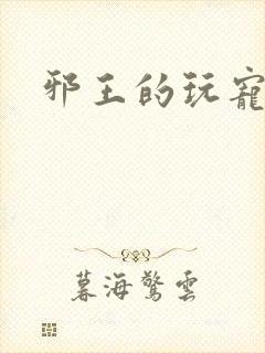 邪王的玩宠封面