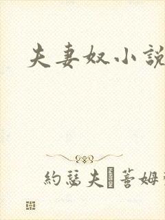 夫妻奴小说