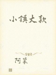 小镇大款封面