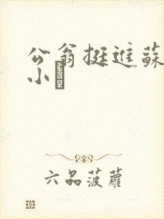 公翁挺进苏玥的小泬