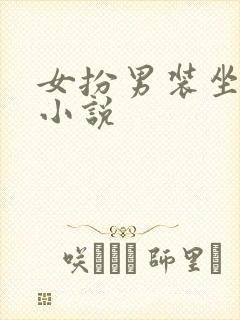 女扮男装坐江山小说