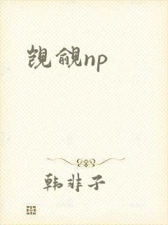 觊觎np