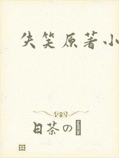 失笑原著小说