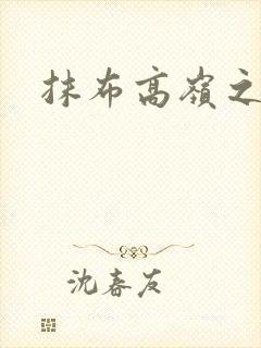 抹布高岭之花封面