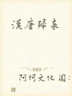 汉唐归来
