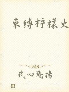 束缚柠檬火焰