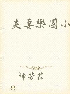 夫妻乐园小说