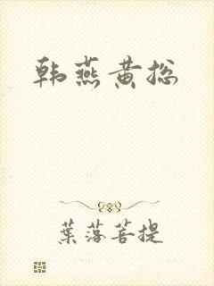 韩燕黄总