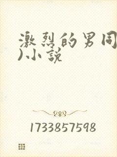 激烈的男同(h)小说
