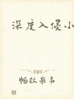 深度入侵小说
