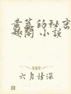 黄蓉的秘密 笔趣阁 小说封面