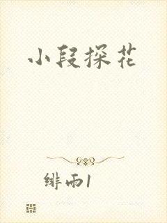 小段探花