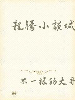 龙腾小说城封面