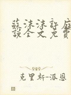 苏沫沫许庭川小说全文免费阅读