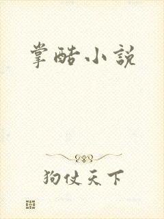 掌酷小说