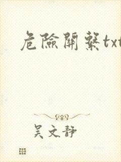 危险关系txt封面