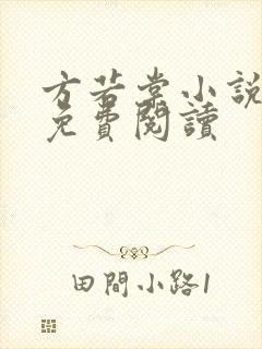 方若棠小说全文免费阅读封面